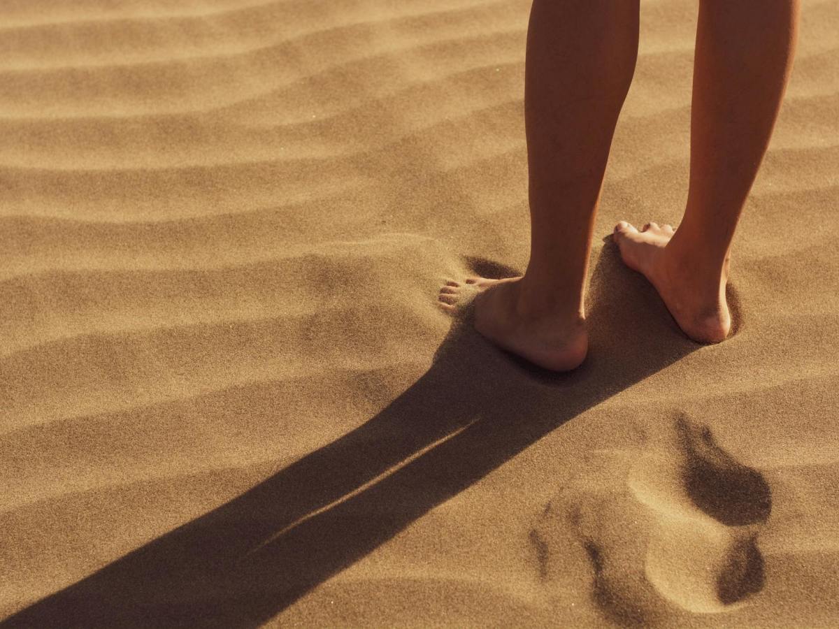 Recuperando el Color y la Voluntad: Un Abordaje Clínico para superar la Anhedonia y la Abulia en la&nbsp;Depresión