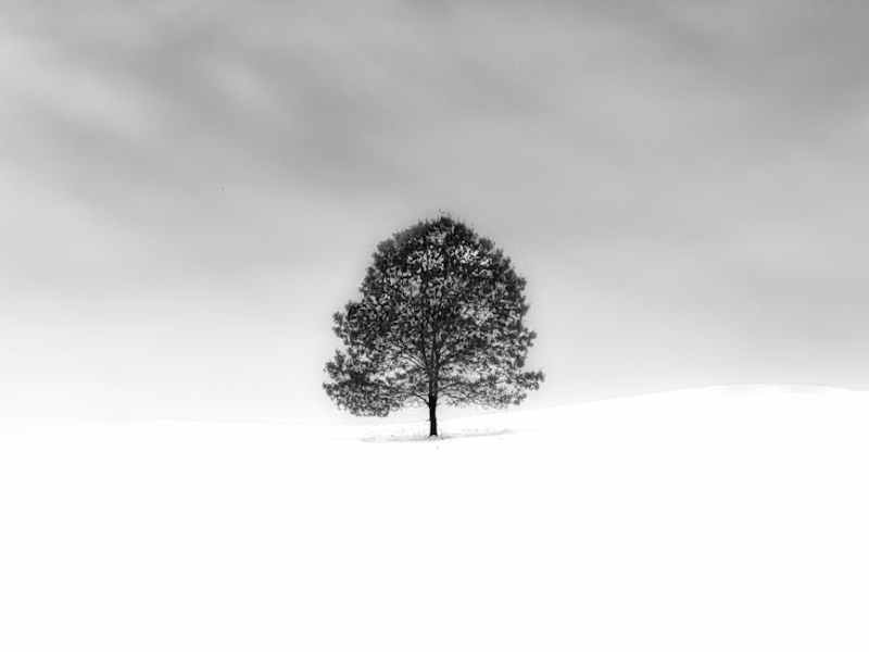 La ilusión del eco o cómo saber cuando una relación es&nbsp;real…